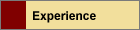 Experience