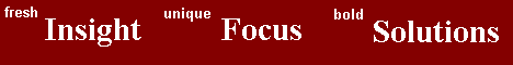 new Insight ... unique Focus ... bold Solutions